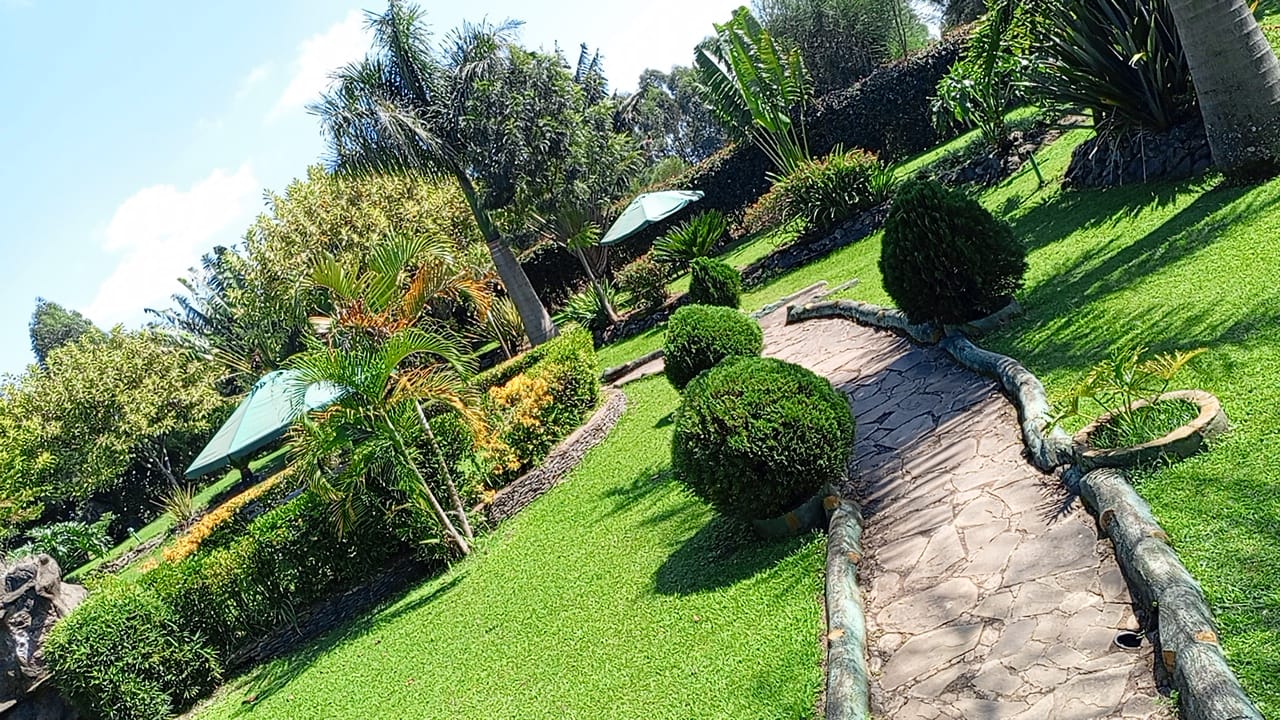 Village Park Landscaping